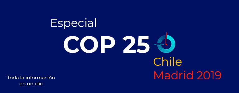 COP 25